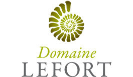 Lefort David