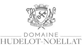 Hudelot Noellat