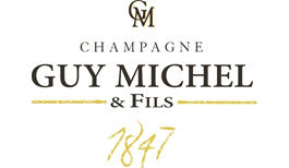 Guy Michel