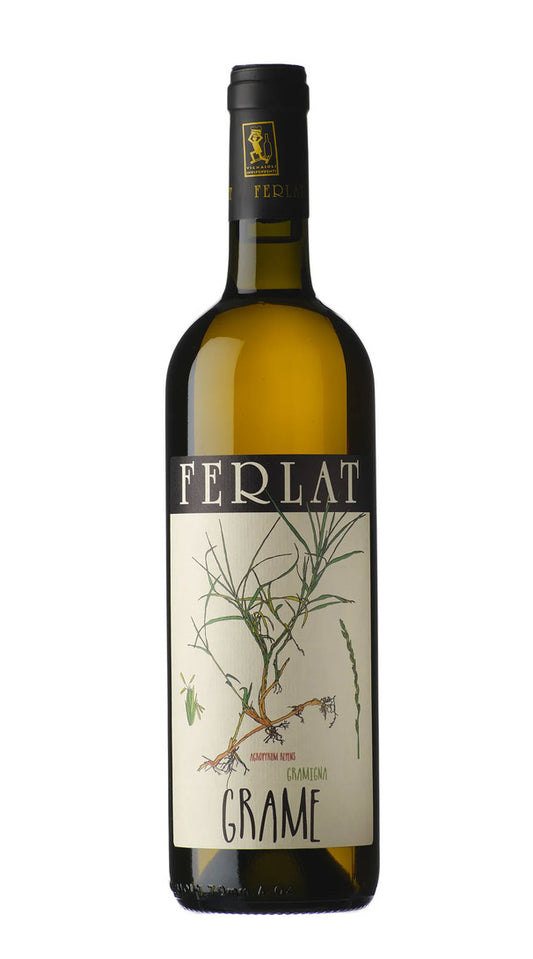 Malvasia 'Grame' Ferlat 2021